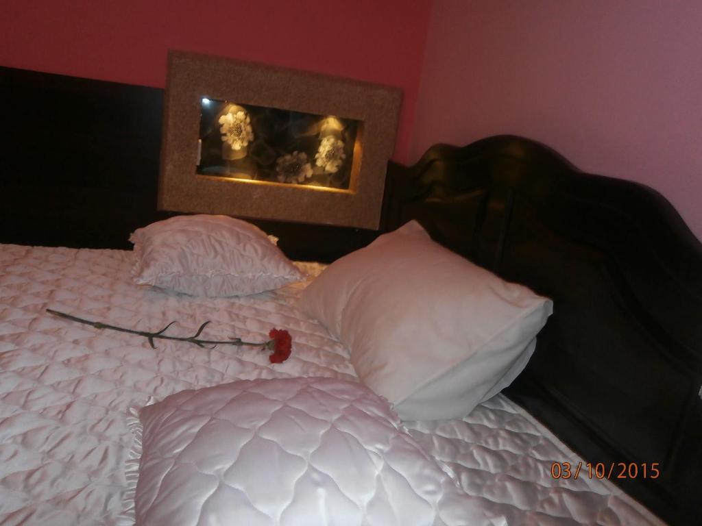 Hotel Vila Mitic Luxx Spa Centar Leskovac Kültér fotó